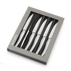 Coffret 6 Couteaux Steak Goliath 22 Cm Amefa 7 Coffret 6 Couteaux Steak Goliath 22 Cm Amefa -Duralex Boutique coffret 6 couteaux steak goliath 22 cm amefa 2