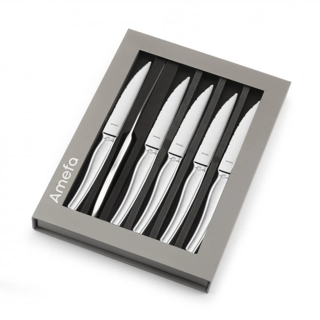 Coffret 6 Couteaux Steak Goliath 22 Cm Amefa 5 Coffret 6 Couteaux Steak Goliath 22 Cm Amefa – Image 3