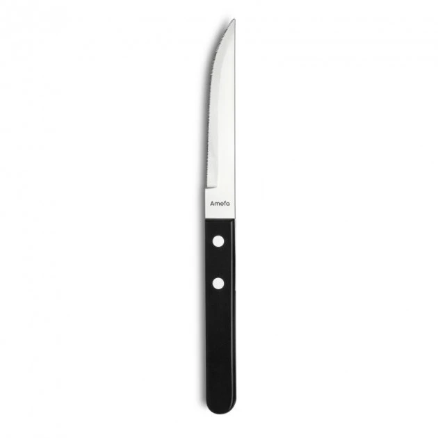 Coffret 6 Couteaux Steak Pizza 21,6 Cm Amefa 5 Coffret 6 Couteaux Steak Pizza 21,6 Cm Amefa – Image 3